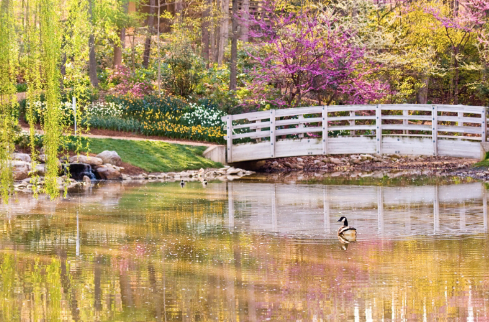JMU Arboretum