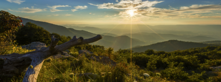 Shenandoah National Park